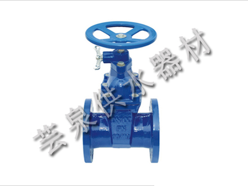 福建锁闭弹性座封闸阀